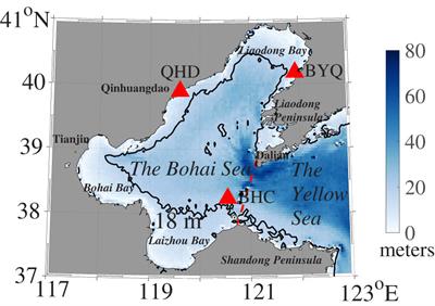 Phase variations of the summer and winter seasons in the Bohai Sea during the last four decades